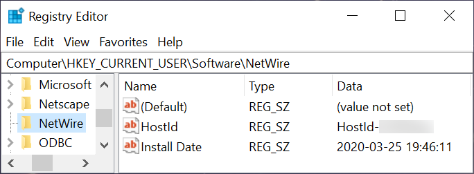 Figure 13. Windows Registry update for NetWire