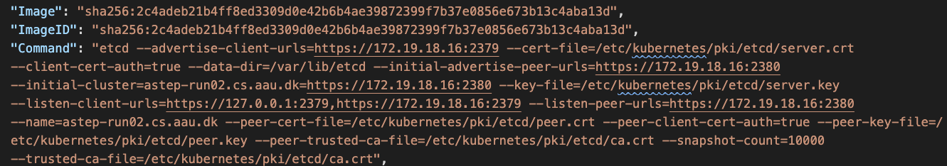 Figure 14. Leaked key files from the container command