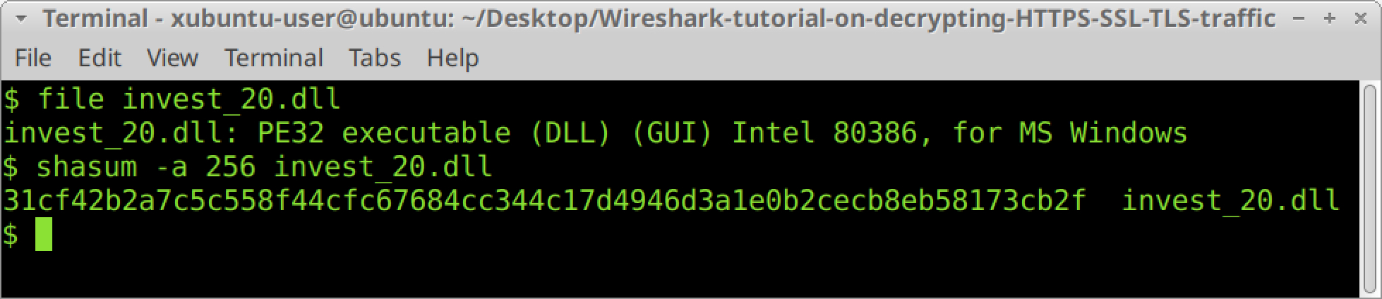 The screenshot from the decrypting HTTPS traffic tutorial shows how you can open a terminal window in a BSD, Linux or macOS environment, use the file command to confirm this is a DLL file, and then get the SHA256 hash of the file. 