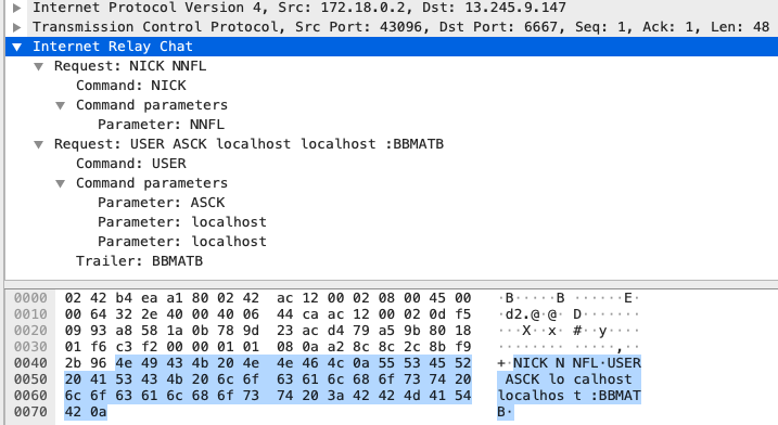 The screenshot shows the IRC traffic captured at the IRC client. The IRC server's metadata indicates that the server was deployed on Jan. 9, 2021, and there are around 220 clients currently connected to the server. 