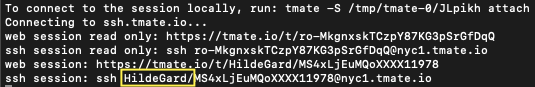 Once gaining an initial foothold into a container, the malware may establish a tmate session. 