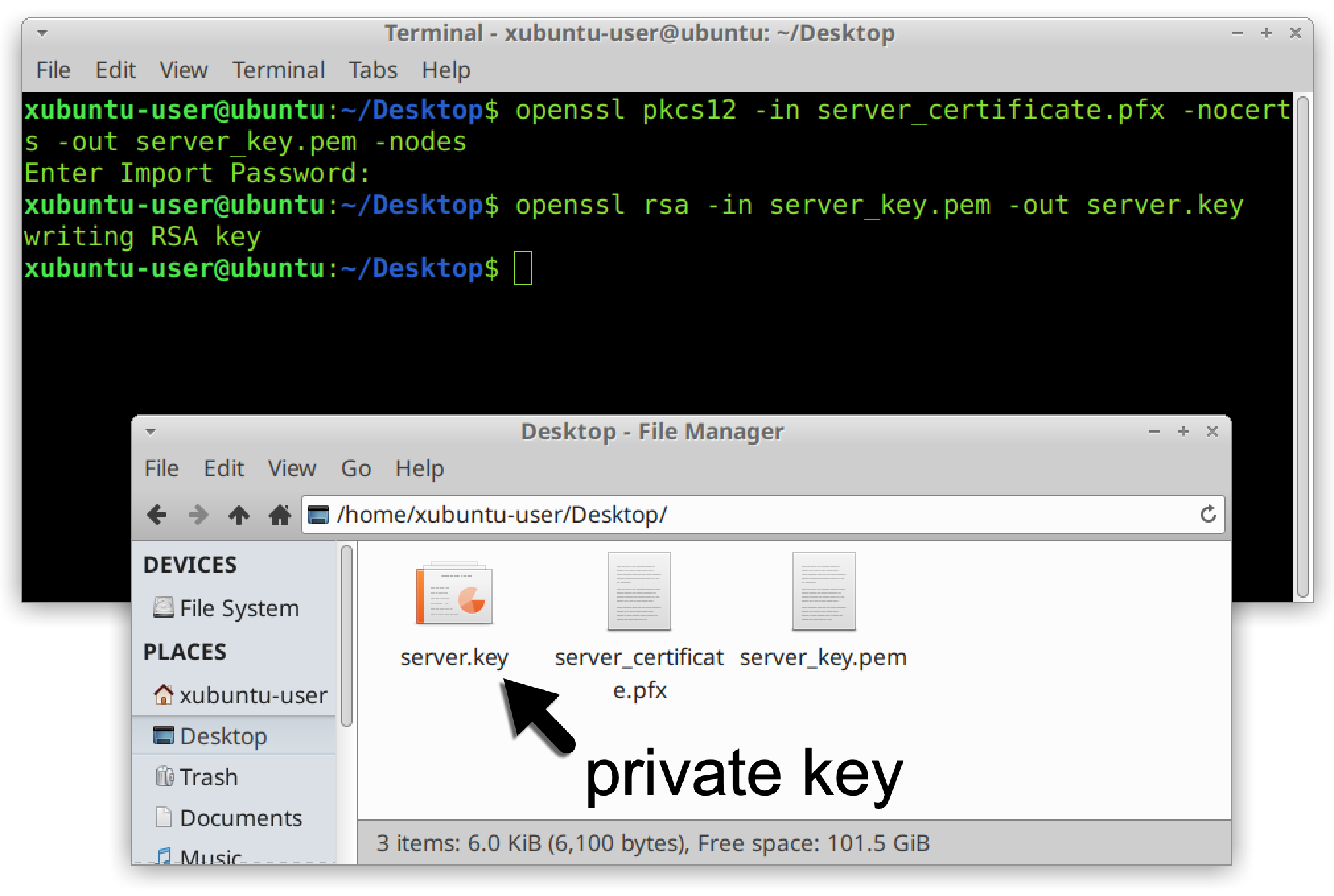 The black arrow and label "private key" indicate where the private server key was extracted from the certificate. 