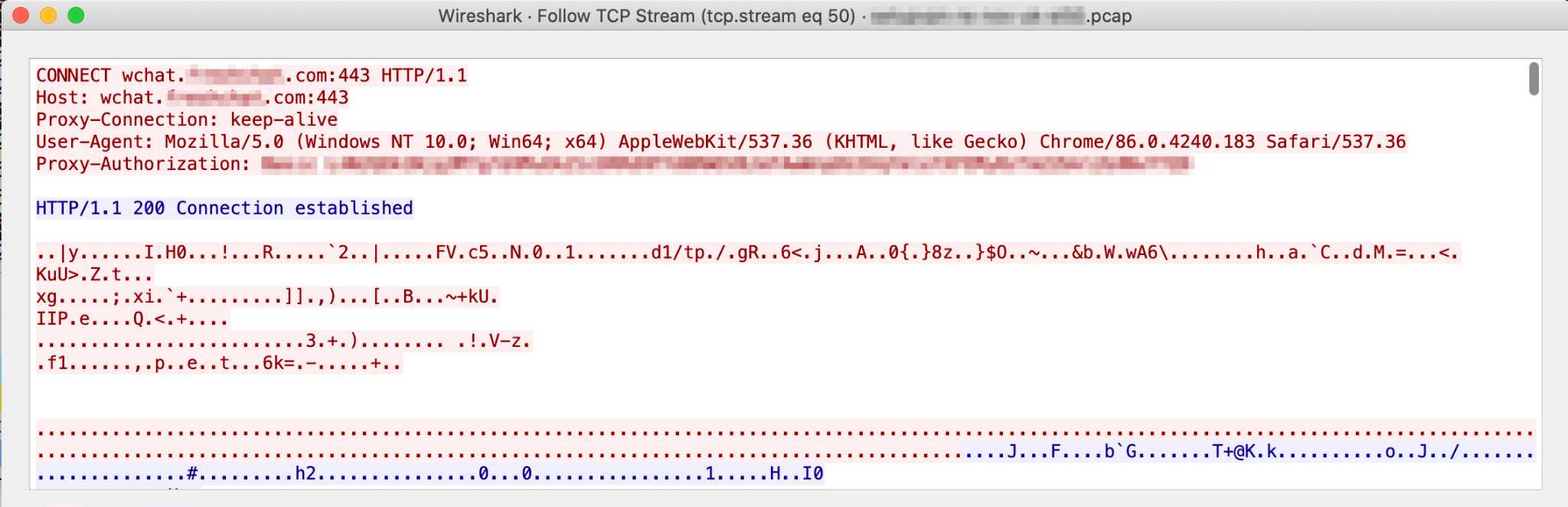 The HTTP proxy-authorization header in SetupVPN, shown here, can present helpful information about the SetupVPN app. 