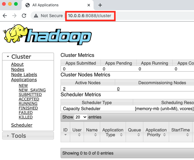 A DNS rebinding attack on our simulated environment illustrates the risk. Here, the target internal web application is an internal Hadoop web interface. The victim can visit this UI and check the cluster status when it's not available externally, as shown here. 