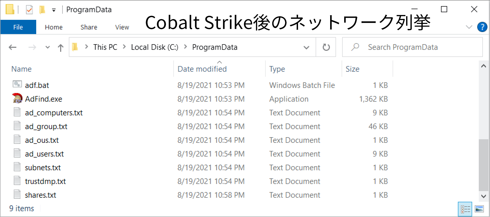 Cobalt Strike展開後のネットワーク列挙。 