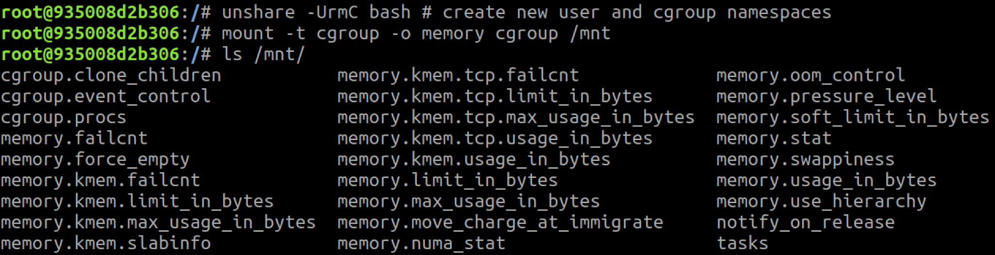 The container mounts the memory cgroup in the new user and cgroup namespaces.