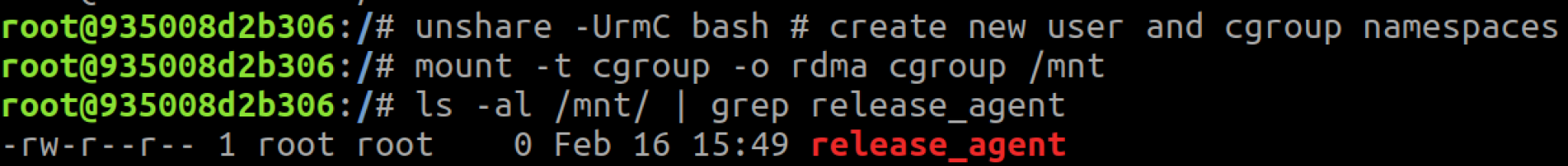 The container mounting the root RDMA cgroup in the new user and cgroup namespaces.