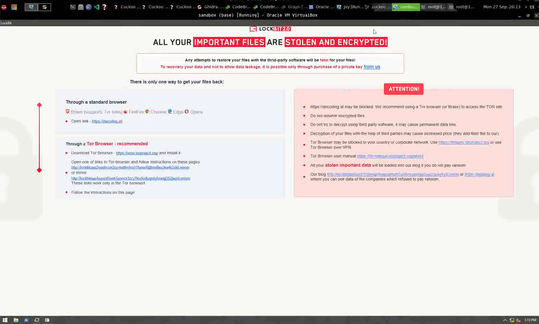 Figure 20a. LockBit 2.0 samples executed on X4K YouTube video.