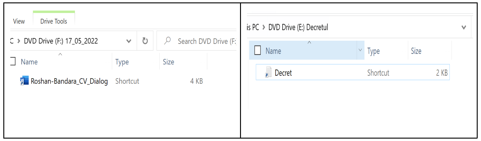 Decret and Roshan both show a single file in the mounted ISO image when "show hidden files" is not enabled. 