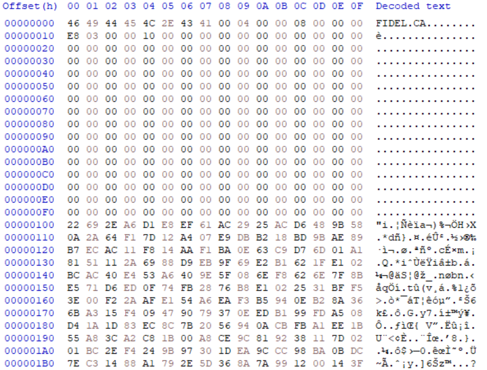 FIDEL.CA magic value followed by encrypted RSA blob. 