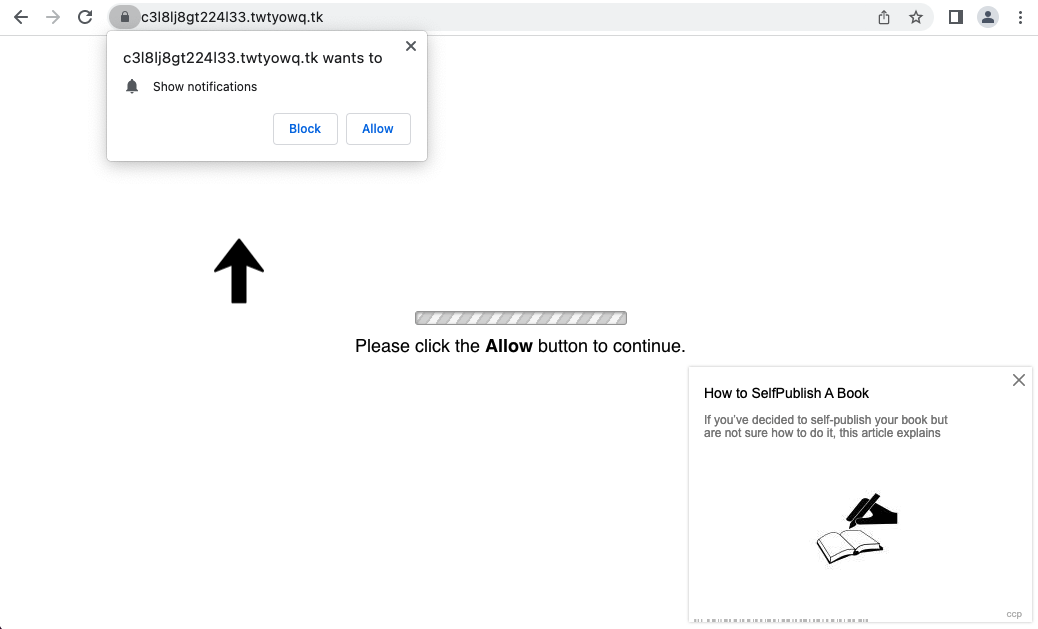 Example of a scam page hosted on a DGA subdomain that asks for notification permissions. The presence of a large number of subdomains produced by DGAs can be an indicator that a newly observed domain is suspicious. 