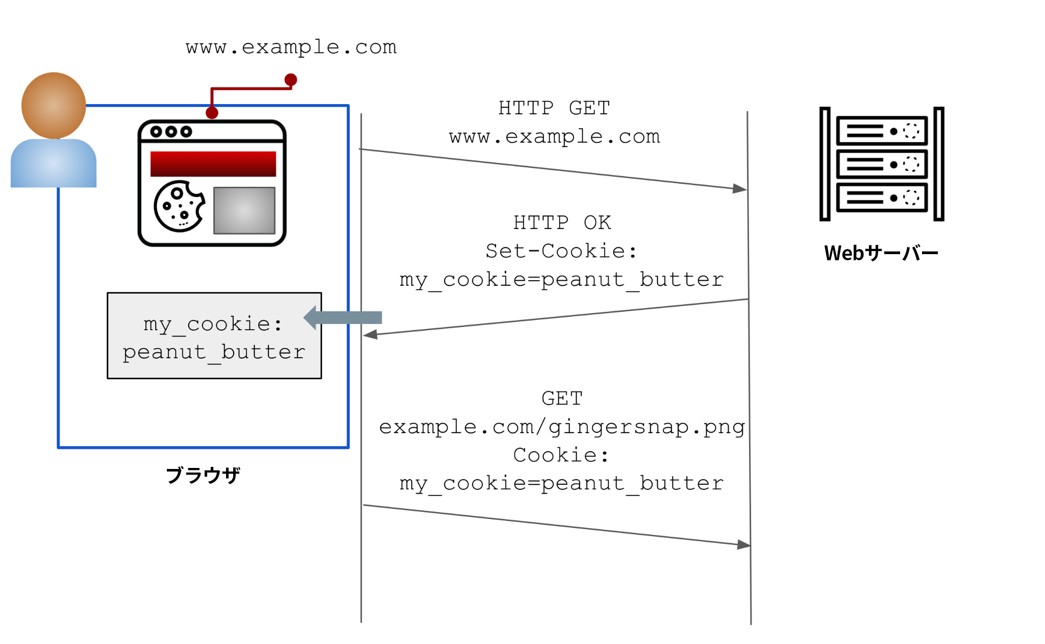 この図のユーザーはwww[.]example[.]comを閲覧している。HTTPのGETリクエストがサイトのWebサーバーに送信されている。ドメイン所有者は応答としてユーザーにCookieを送信するように設定している。この例では、「my_cookies」というCookieの値が「peanut_butter」に設定されている。この例のユーザーがこのドメインの他のページを閲覧すると、このユーザーが送信するメッセージには「peanut_butter」というCookieが含まれ、サイト上での行動を追跡できるようになる。