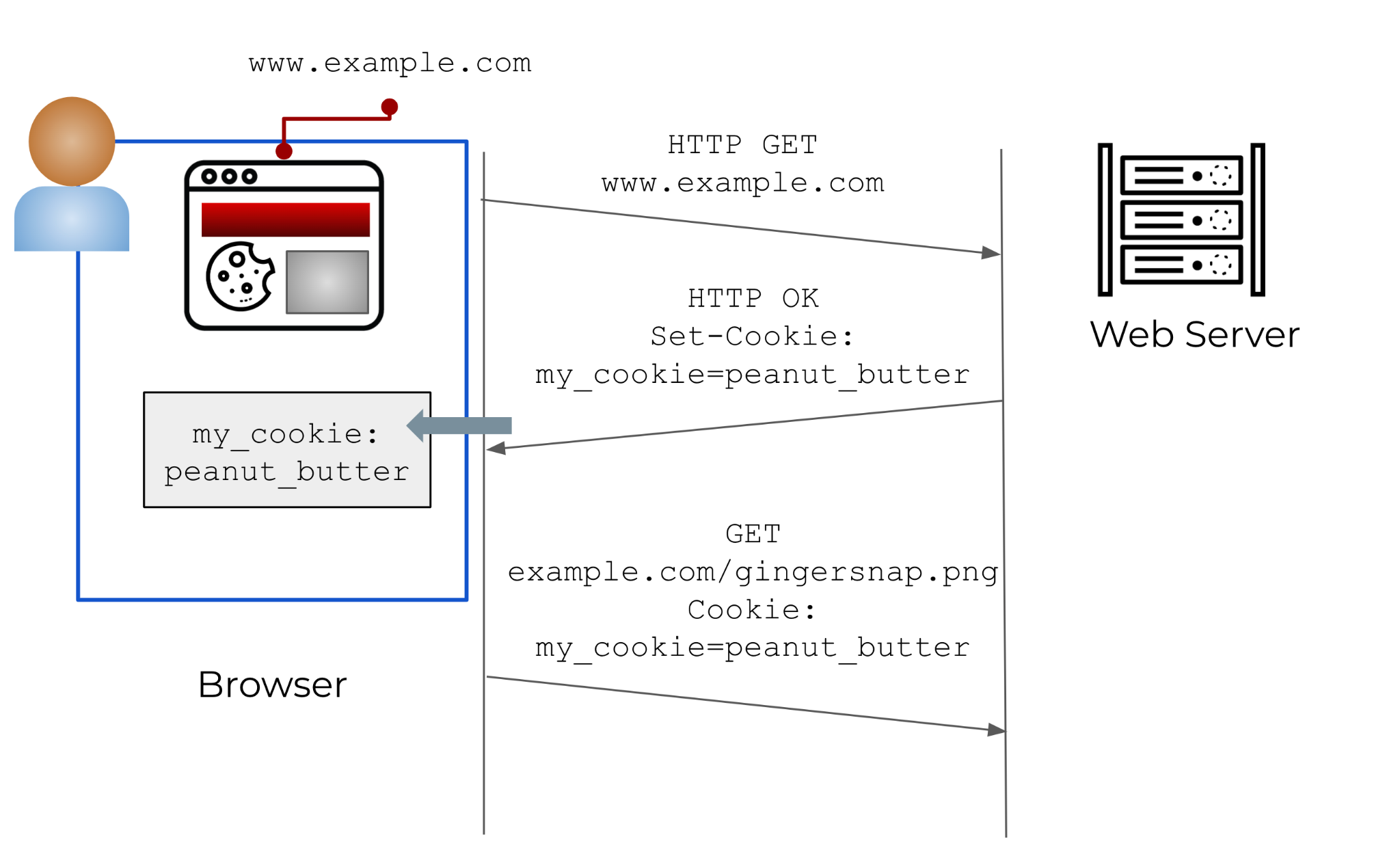 The user pictured browses to www[.]example[.]com. An HTTP Get request is sent to the site's webservers, and the owner has configured them to send users cookies in response. In this example, the cookie "my_cookies" is set to the value "peanut_butter." When the user in this example browses to other pages on this domain, the messages that she sends will include the cookie "peanut_butter," allowing her movements on the site to be tracked.