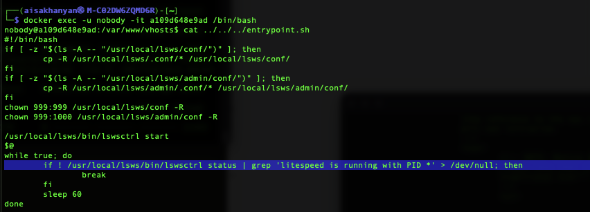 Code snippet from the entrypoint.sh script which runs as root and executes the binary grep repeatedly.