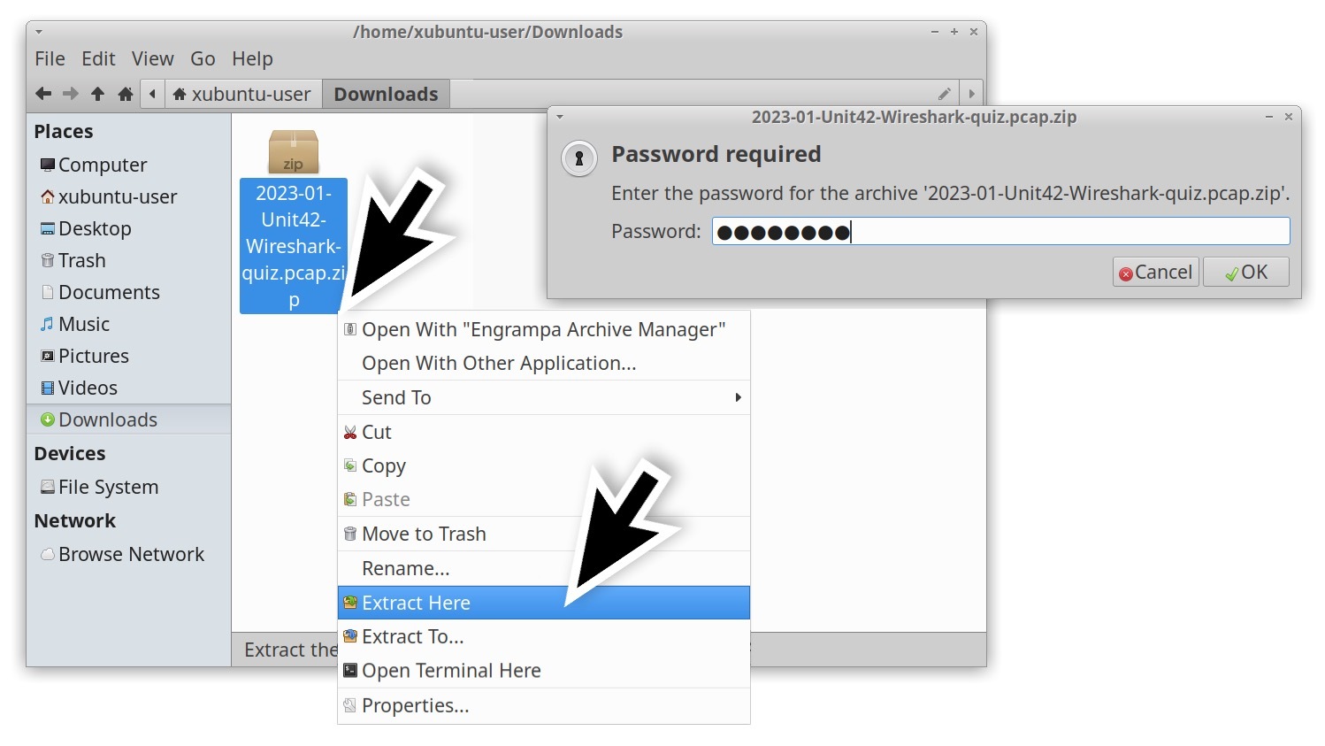 Arrows indicate where to enter the password in order to extract the pcap from the password-protected archive