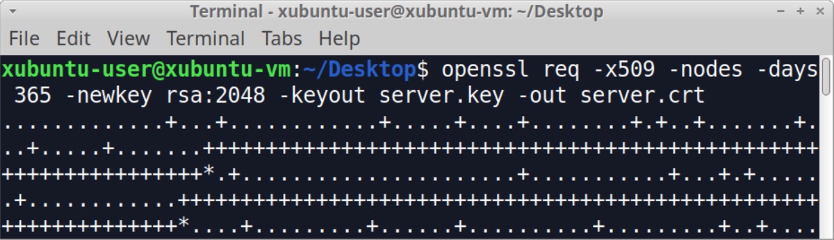 Image 13 is the Xubuntu terminal x509 certificate creation for a web server using OpenSSL.