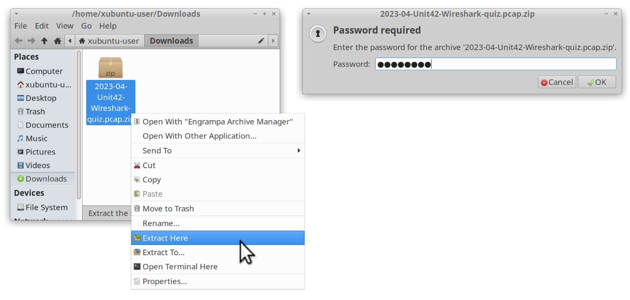Image 3 shows how to enter the password and how to extract the password-protected .zip archive from the download folder.