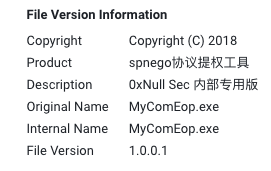 Image 18 is the file version information of a variant. Included is the copyright, product, description, original name, internal name, and the file version. It is a mix of English language as well as Chinese characters.