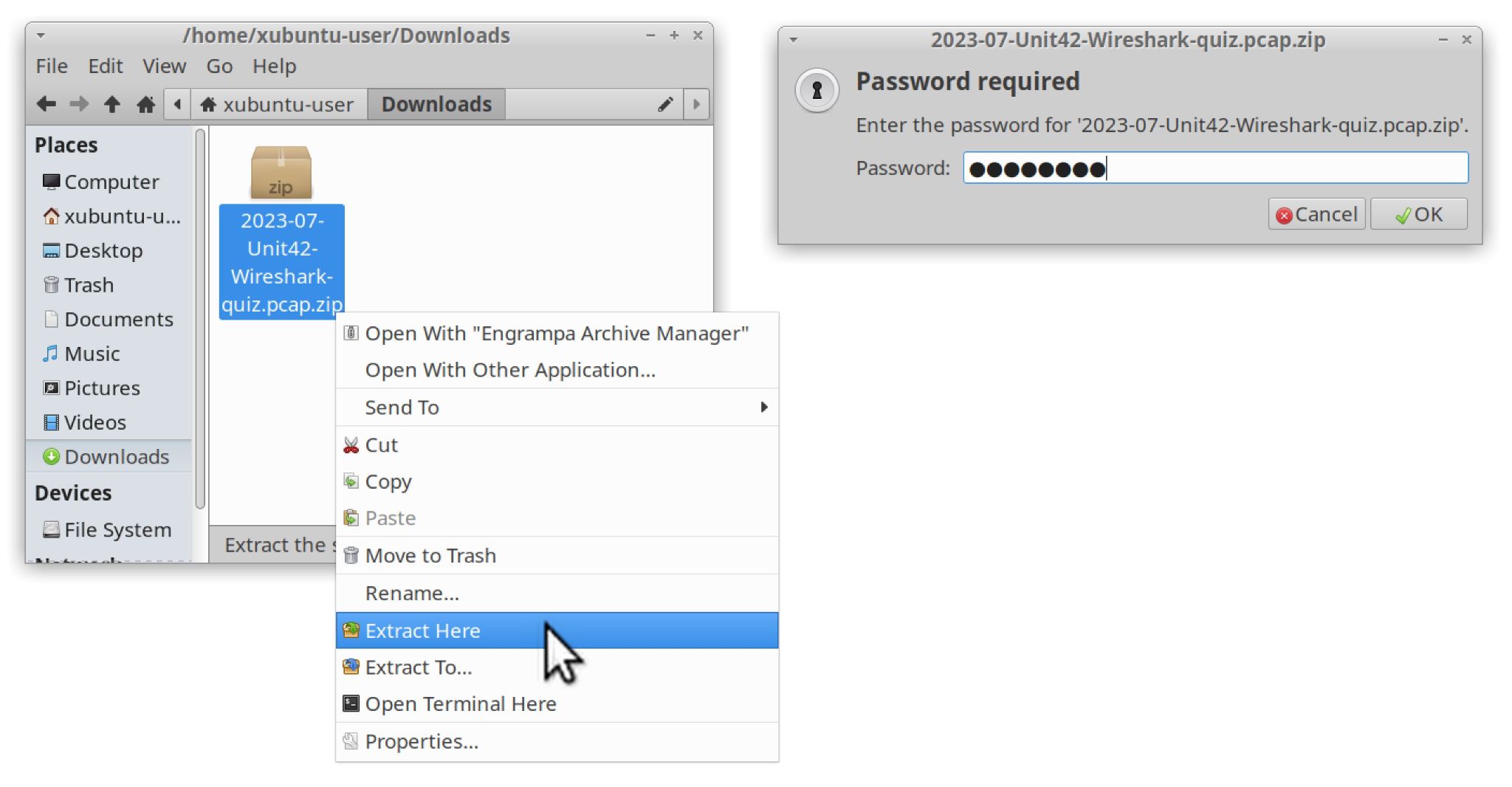 Image 3 is a screenshot of how to extract the zip file contents from the zip. From the downloads window, the user can select “Extract Here” and enter the password into the “Password required” window. 