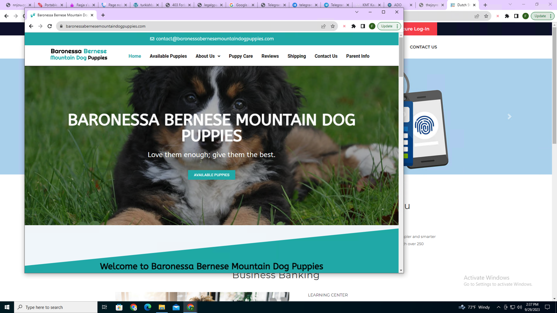 Image 1 is a screenshot of the website for the Baronessa Bernese Mountain Dog Puppies. There is an image of a Bernese Mountain dog puppy. There's a button to view available puppies. The menu options include available puppies, about us, puppy care, reviews, and more.