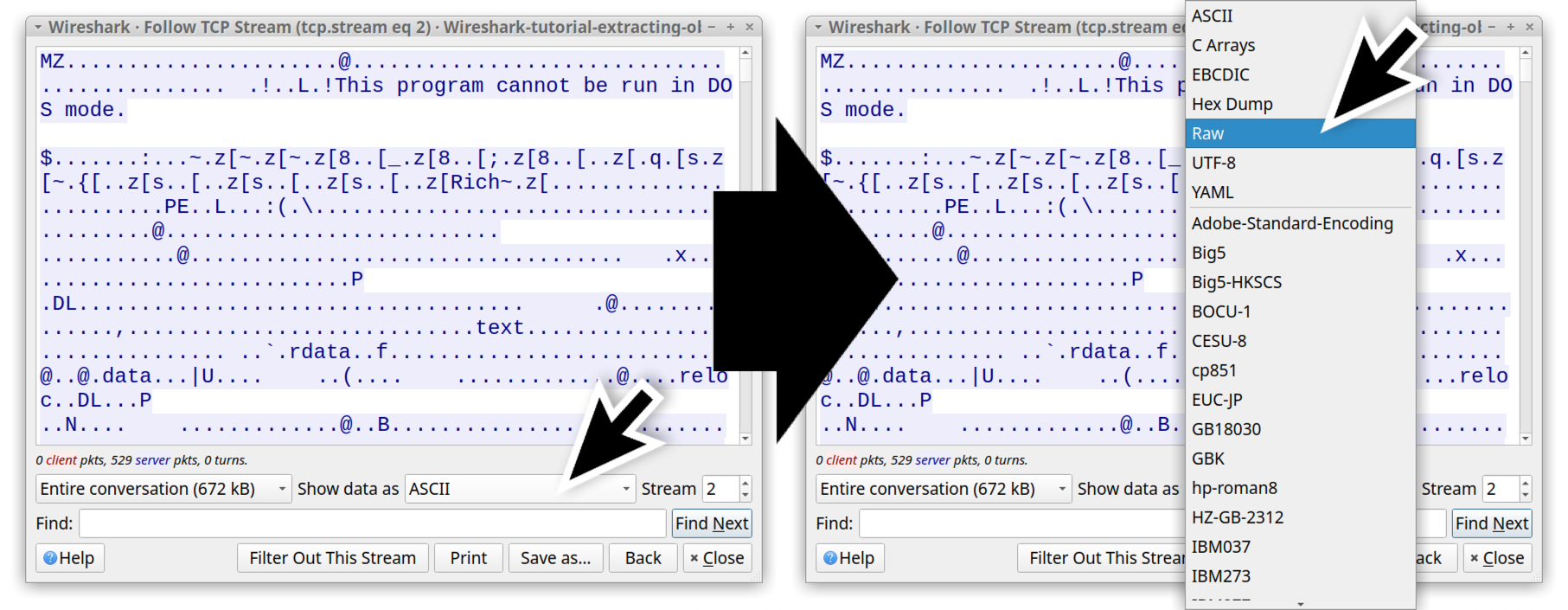 Image 21 is a screenshot of two TCP stream windows side by side. In the left window, a black arrow points to Show data as field with ASCII selected. A black arrow points to the right TCP stream window where “Raw” is selected from the same menu. 