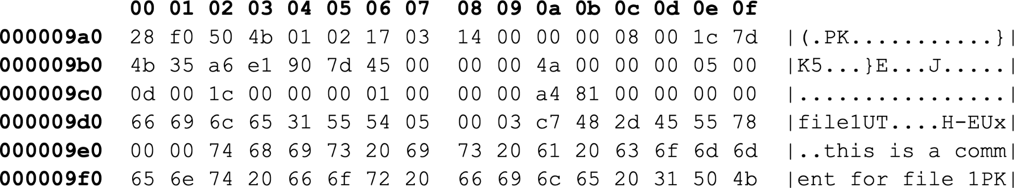 Image 6 is an example of the central directory file header structure values in hexadecimal, displayed in columns and rows. 