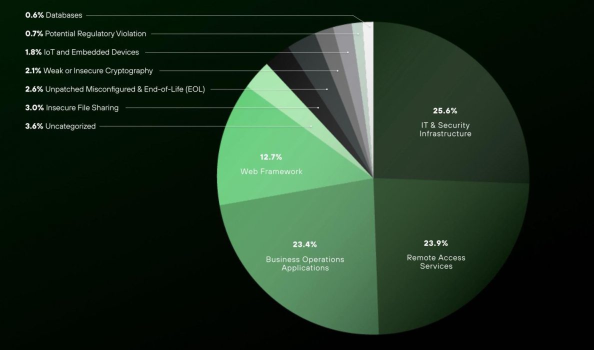 This image presents a pie chart illustrating the distribution of various types of IT and security infrastructure vulnerabilities in a network. The chart highlights different categories with corresponding percentages: Web Framework at 12.7%, Applications at 23.4%, Remote Access Services at 23.9%, IT & Security Infrastructure at 25.6%, Potential Regulatory Violation at 0.7%, Embedded Devices at 1.7%, Insecure Configuration/End-of-Life (EOL) at 2.1%, Insecure File Sharing at 0.3%, and Uncategorized at 3.6%. The colors vary for each category to differentiate them clearly.