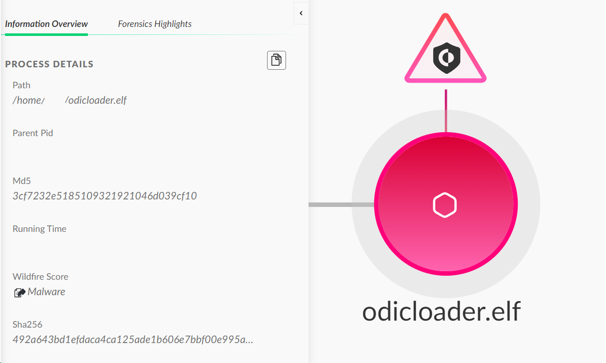 Screenshot of a Cortex XDR interface showing details of a potential malware file named 'odicloader.elf' with a visual warning symbol in pink and light grey colors.