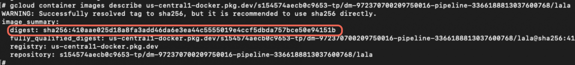ModeLeak: Privilege Escalation to LLM Model Exfiltration in Vertex AI