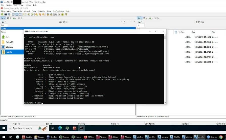 Screenshot of a computer screen with two open command prompt windows, displaying codes and commands related to software installation and system checks.