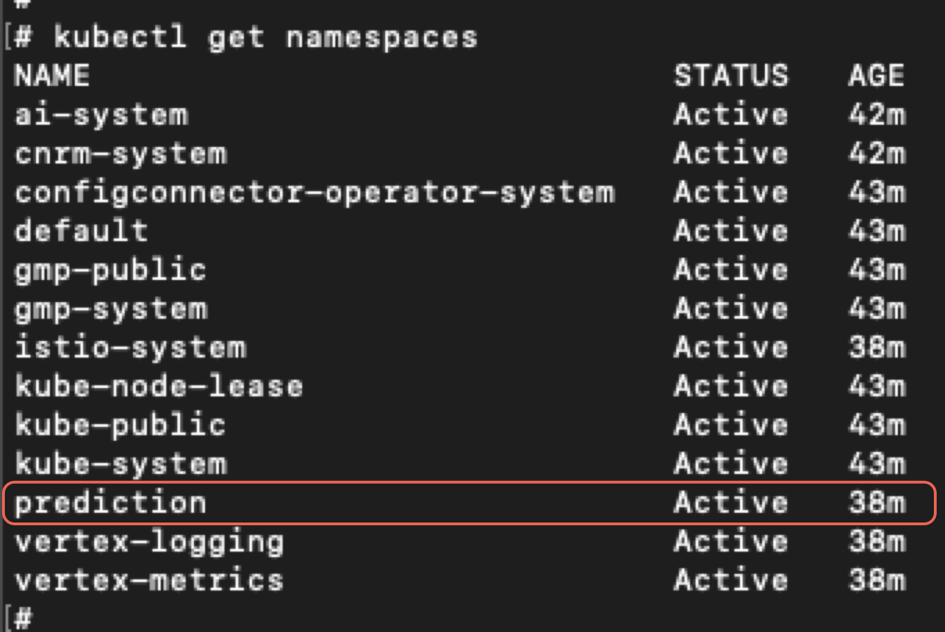 A screenshot of a computer terminal displaying a list of namespaces in Kubernetes with their status and age. Namespaces listed include ai-connector-system, argo-system, default, gmp-public, istio-system, kube-node-lease, kube-public, prediction, vertex-logging, and vertex-metrics, all marked as active.