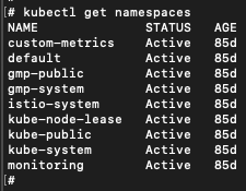 Terminal screen displaying output from the command 'kubectl get namespaces', showing namespaces named custom, gmp-public, gmp-system, kube-node-lease, and kube-system among others, all listed as Active and having an age of 85d.