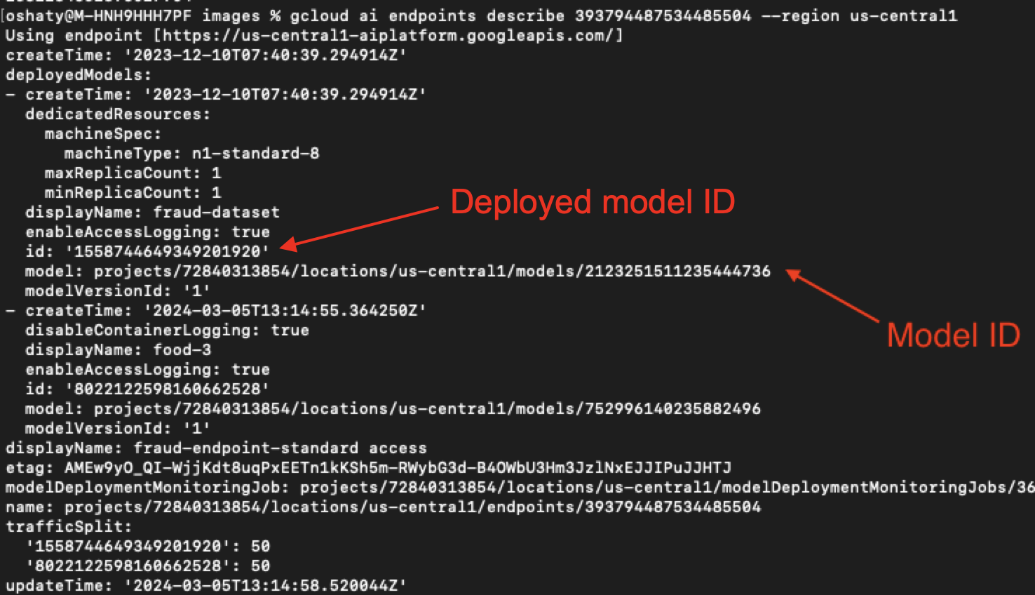 Screenshot of a computer interface displaying information about a deployed machine learning model, including various technical details like model IDs, machine types, endpoints, and deployment status. The background is black. The deployed Model ID and the Model ID are highlighted by red arrows. 