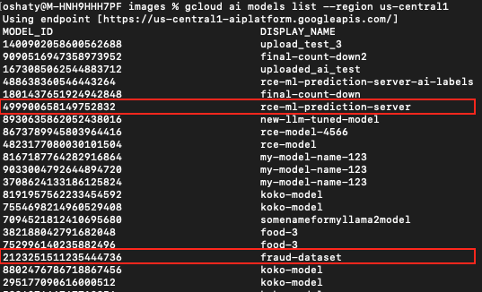 A computer screen displaying a list of model names and IDs in a command line interface, featuring names such as "cmb-final-down", "rcme-ll-model-server-ai", and "final-turnado-stage". Two lines are highlighted in red boxes. 