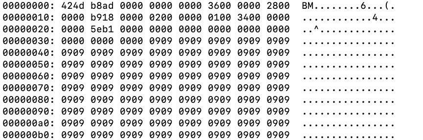 The image shows a hexadecimal dump from a computer file, displaying hexadecimal codes and ASCII characters in a structured format typical for data analysis or debugging in computing.