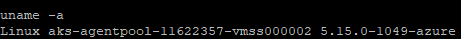 A command line interface displaying a Linux kernel version, the text indicates it's running on Microsoft Azure, with specific version and build details.