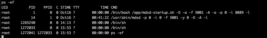 A screenshot of a terminal with a process list, displayed using the "ps ef" command. The list includes columns for UID, PID, PPID, start time, and more. 