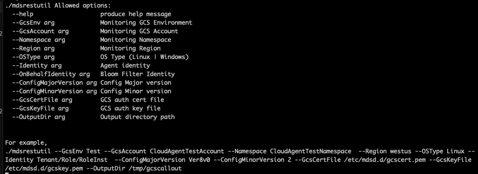 A screenshot of a command-line interface displaying a list of allowed arguments for a utility, which includes commands related to help, monitoring environment, namespace, identity type, and configuration among others, with specific examples provided at the bottom.