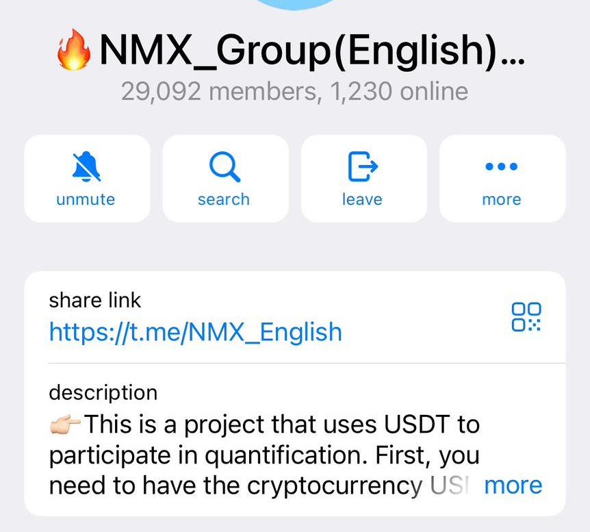 Screenshot of a Telegram group page titled 'NMX_English' with 29,092 members, 1,230 online. Features include mute, search, leave, and more options. The page displays a pinned message regarding participation in a project using the USDT cryptocurrency.