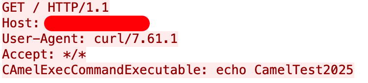 Host、User-Agentがcurl/7.61.1、Acceptがany typeに設定されたHTTP GETリクエストのスクリーンショット。一部の情報は編集されている。