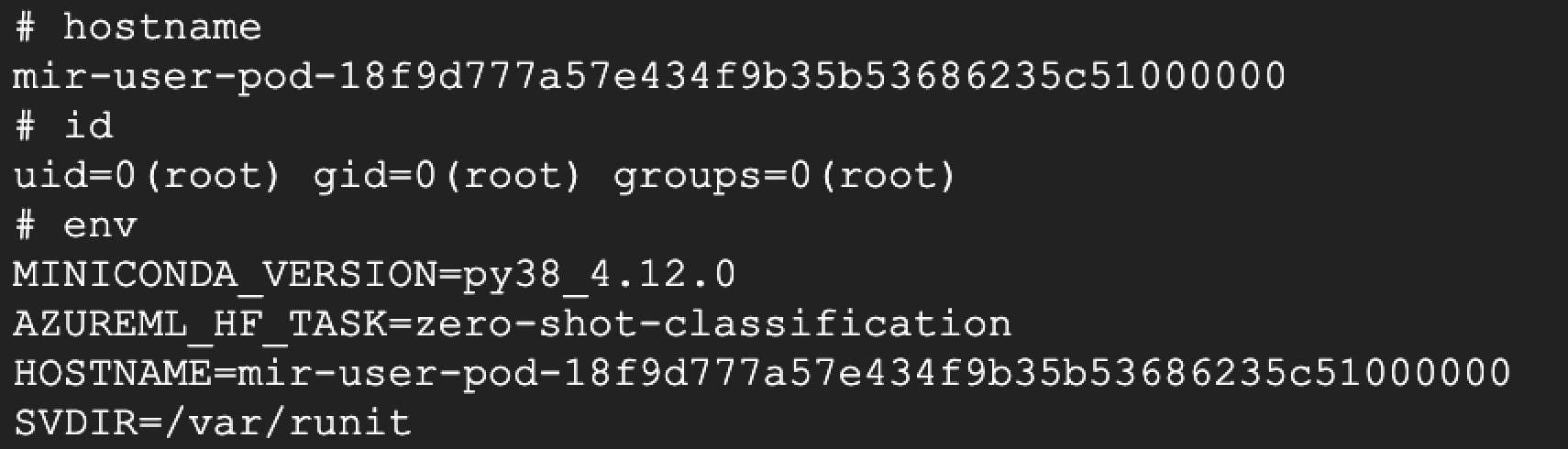 Screenshot of the underlying endpoint. Text displaying a command line interface with commands for viewing the hostname, user identity, and environment variables.