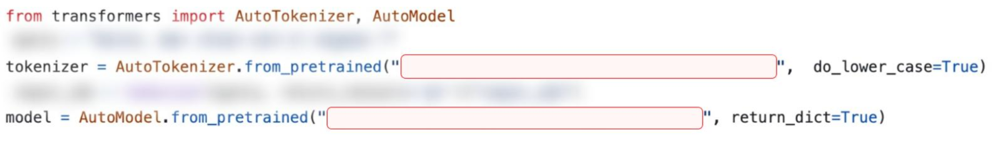 A screenshot of code using the Hugging Face Transformers library with certain details blurred or blocked out for privacy. The code imports AutoTokenizer and AutoModel, and initializes them with specific parameters from a pretrained model.