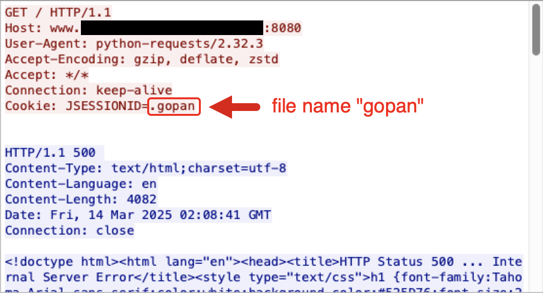 Capture d’écran d’un terminal d’ordinateur affichant des requêtes et des réponses HTTP. La réponse indique une erreur HTTP 500, et certaines données du cookie font référence aux noms de fichiers "gopan" et "gopan-family".