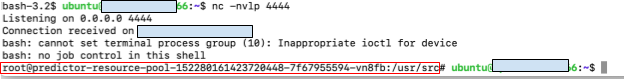 A screenshot of the endpoint environment. Multiple lines of text including error messages related to a bash script, with certain details blurred or blocked out for privacy. The visible text includes file paths and system commands.