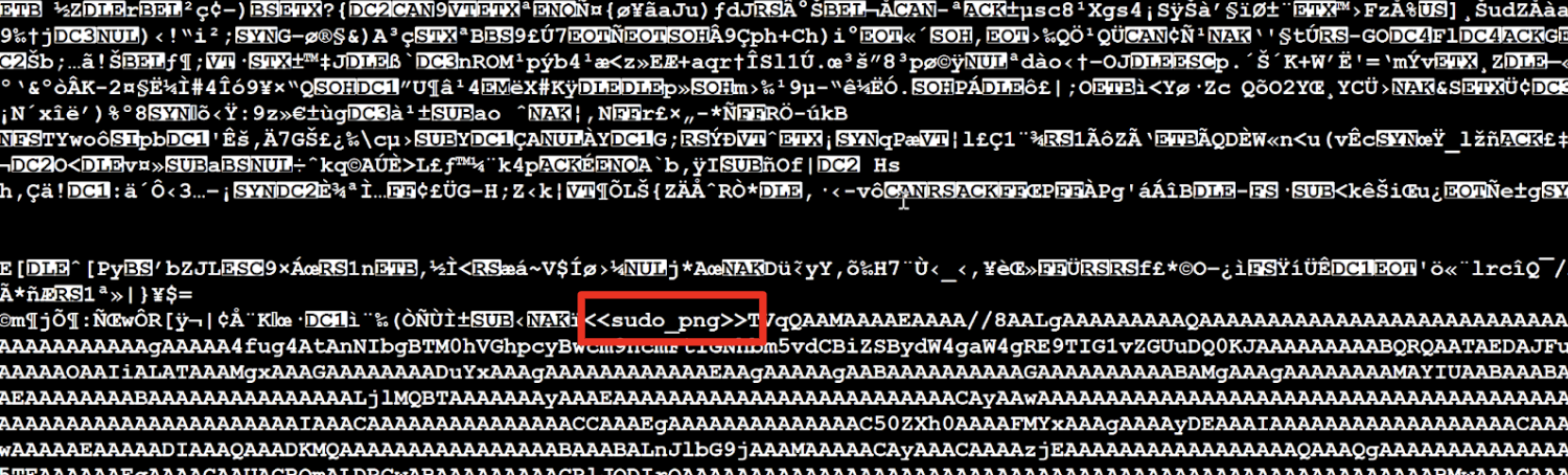 Screenshot of computer code in an editor, featuring various lines of text in white and gray on a black background. The text includes various programming syntax and keywords with a section highlighted in red that says 'sudo png'.