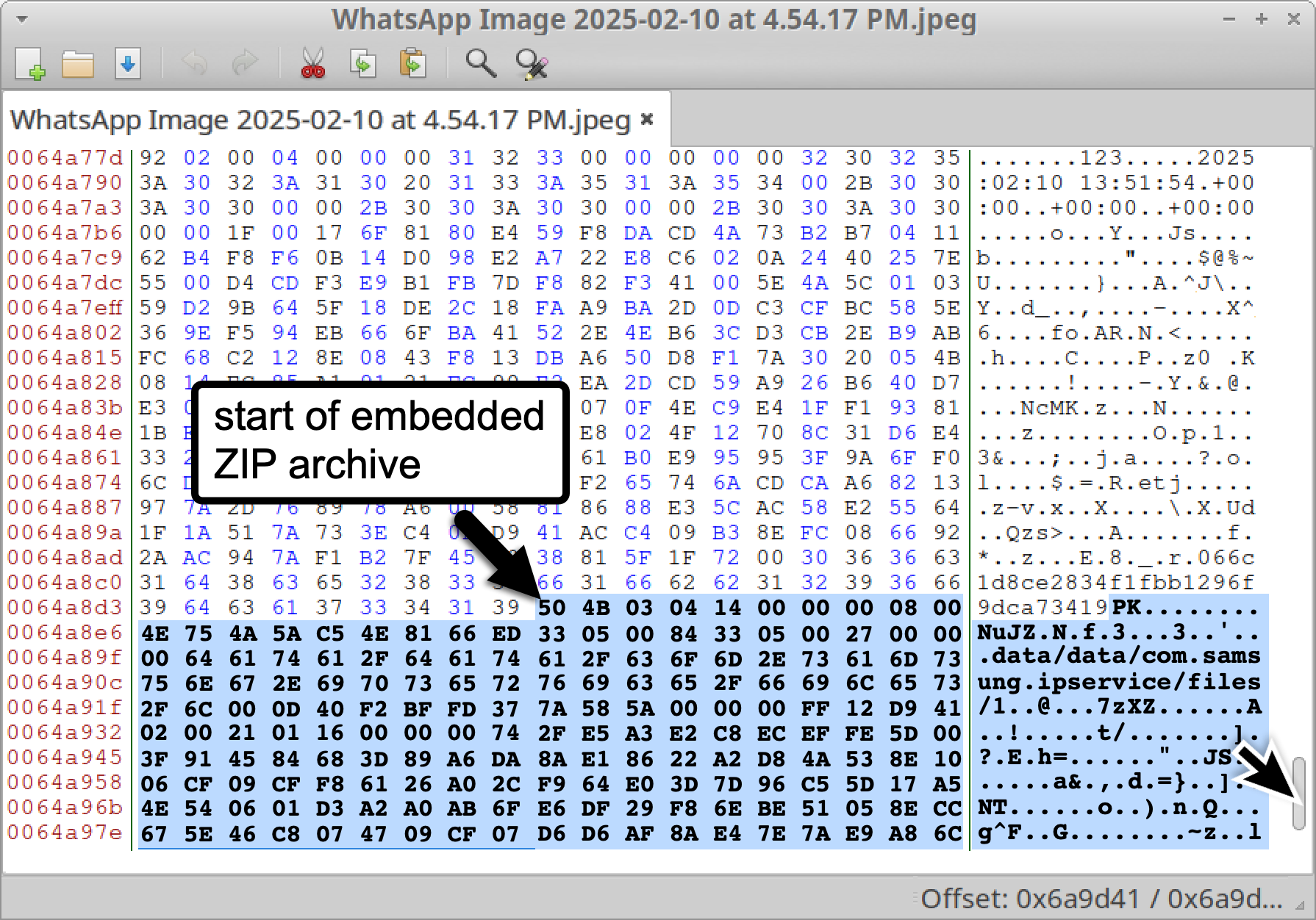Screenshot of a hexadecimal viewer displaying the contents of a WhatsApp image file named "WhatsApp Image 2025-02-10 at 4.54.17 PM.jpeg," indicating a start of an embedded ZIP archive within the file data.