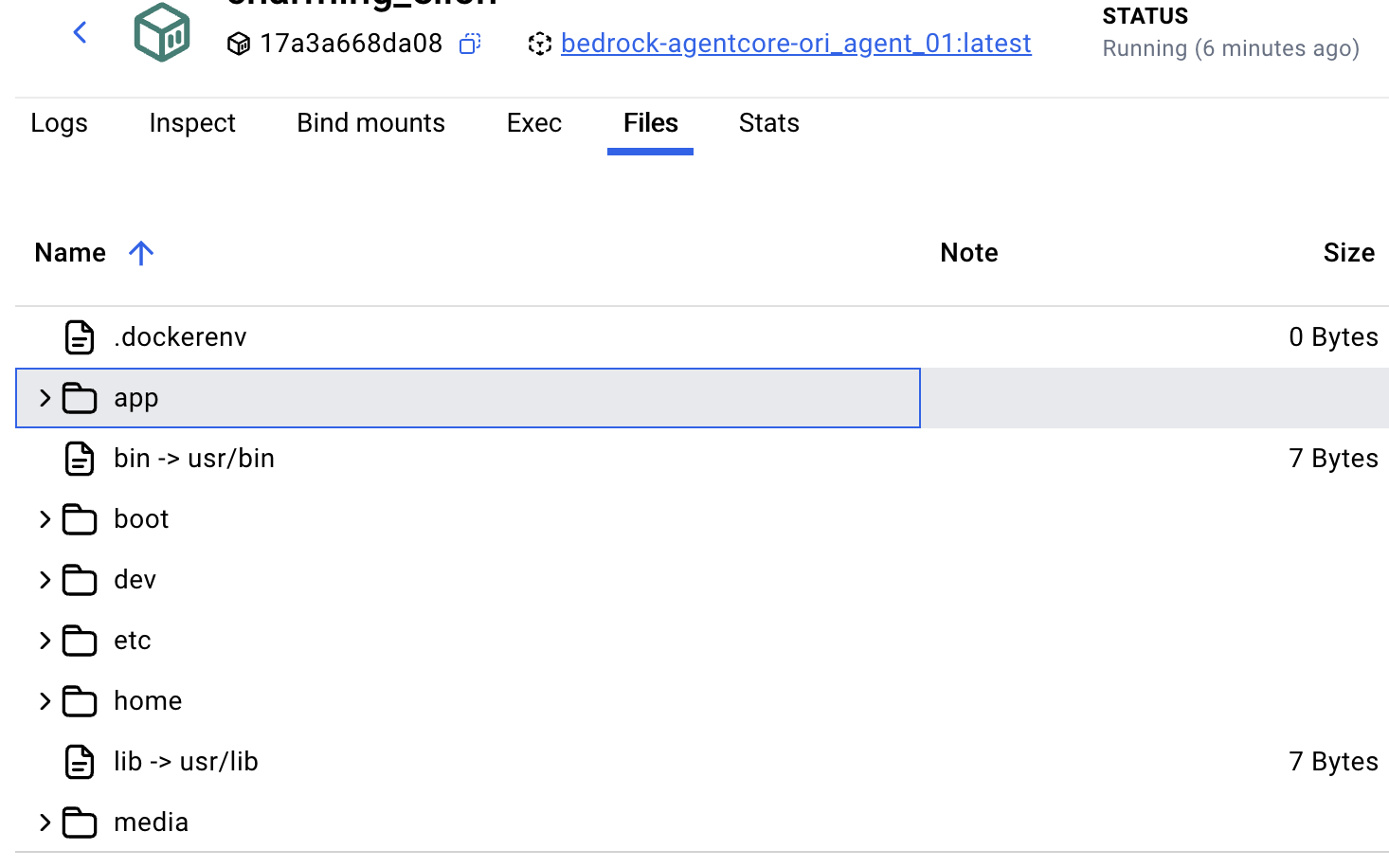 Screenshot of a server file management interface displaying directory contents. The highlighted folder is "app," sized at 0 Bytes. The interface shows activity status as "Running".